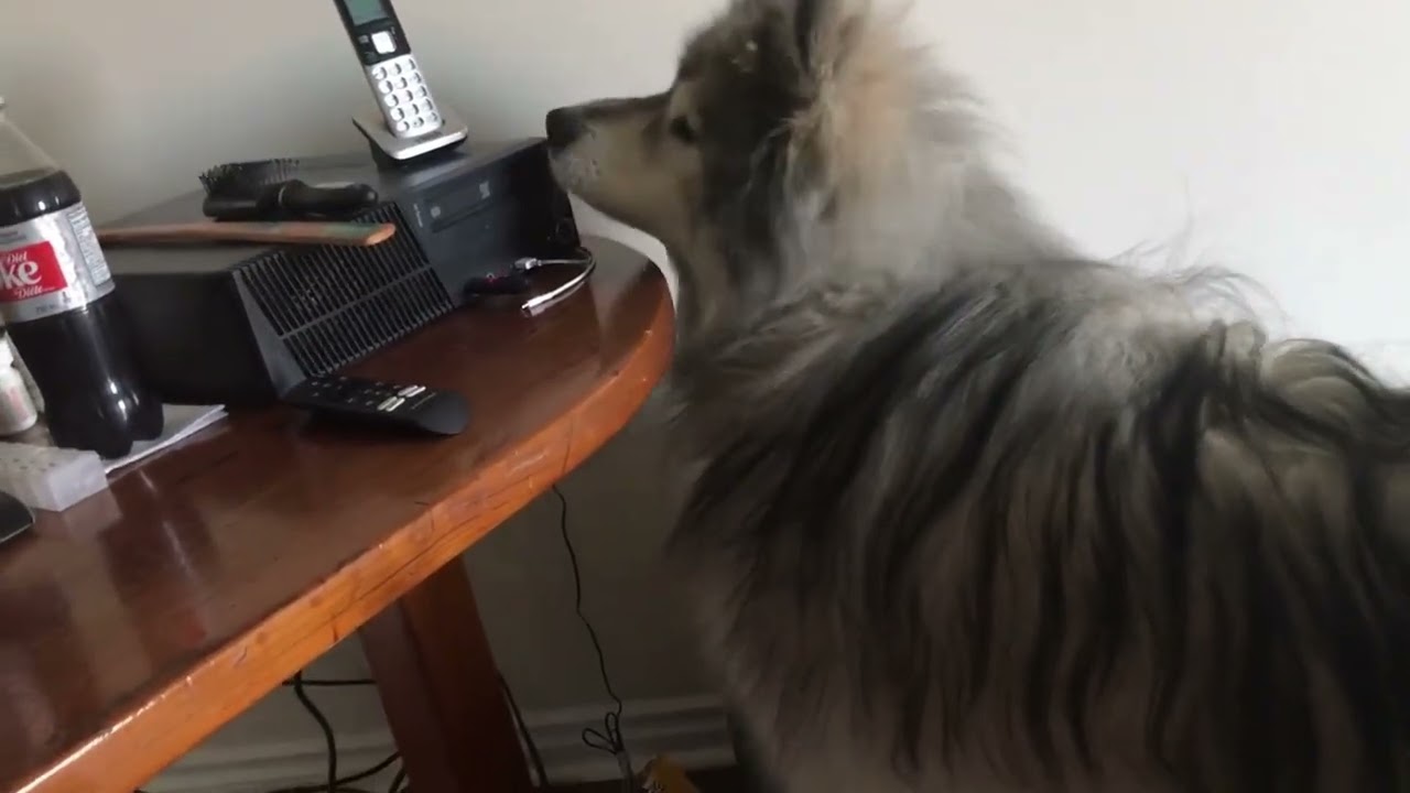 Zeus sees himself