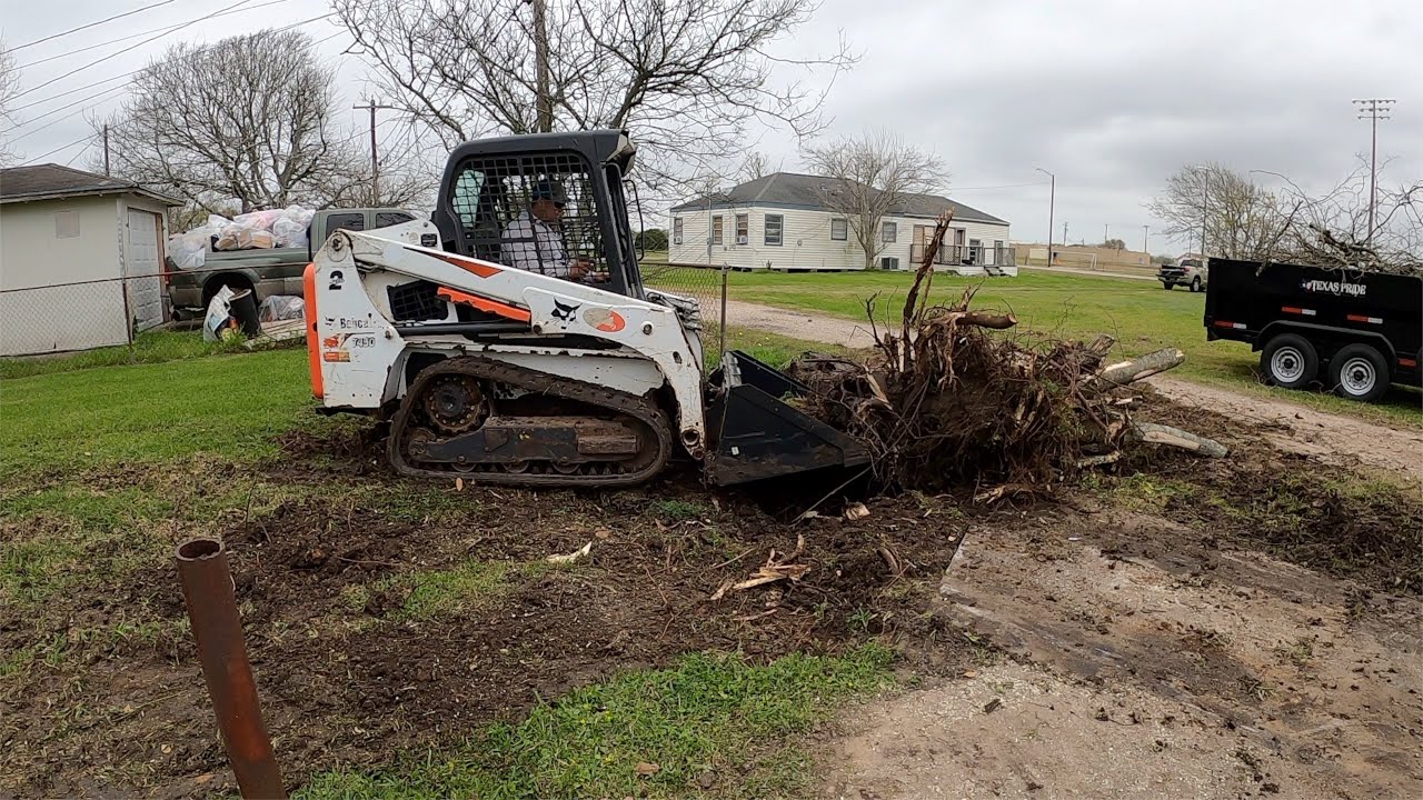 Bobcat T450 vs Tree