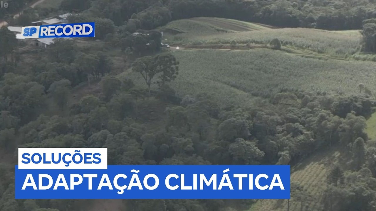 Diante dos eventos climáticos extremos especialistas destacam soluções da natureza
