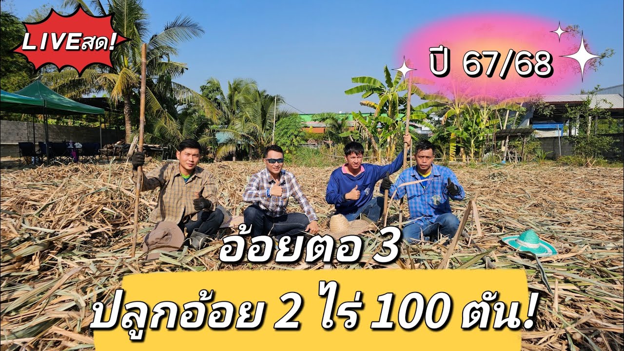🔴LIVEสด! ตัดอ้อยแล้วทำไงต่อ? วิธีดูแลอ้อยตอ3 ผู้จัดการมัน ปี 67/68