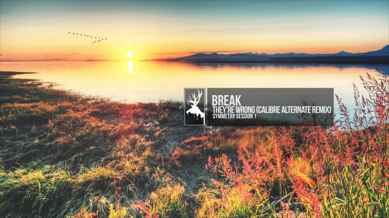 Break - They're Wrong (Calibre Alternate Remix)