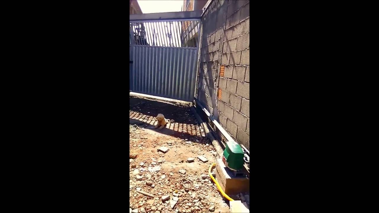 Portão em L com Motor