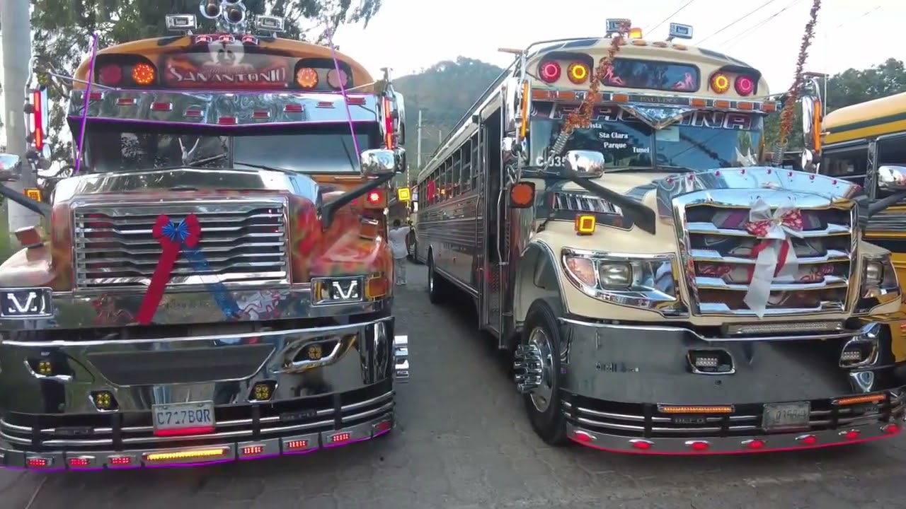 LIBERACIÓN UN MOD DE TEMU PAL BUSSID (VIDEO DE FONDO DE LAS BELLEZAS DE GUATEMAL
