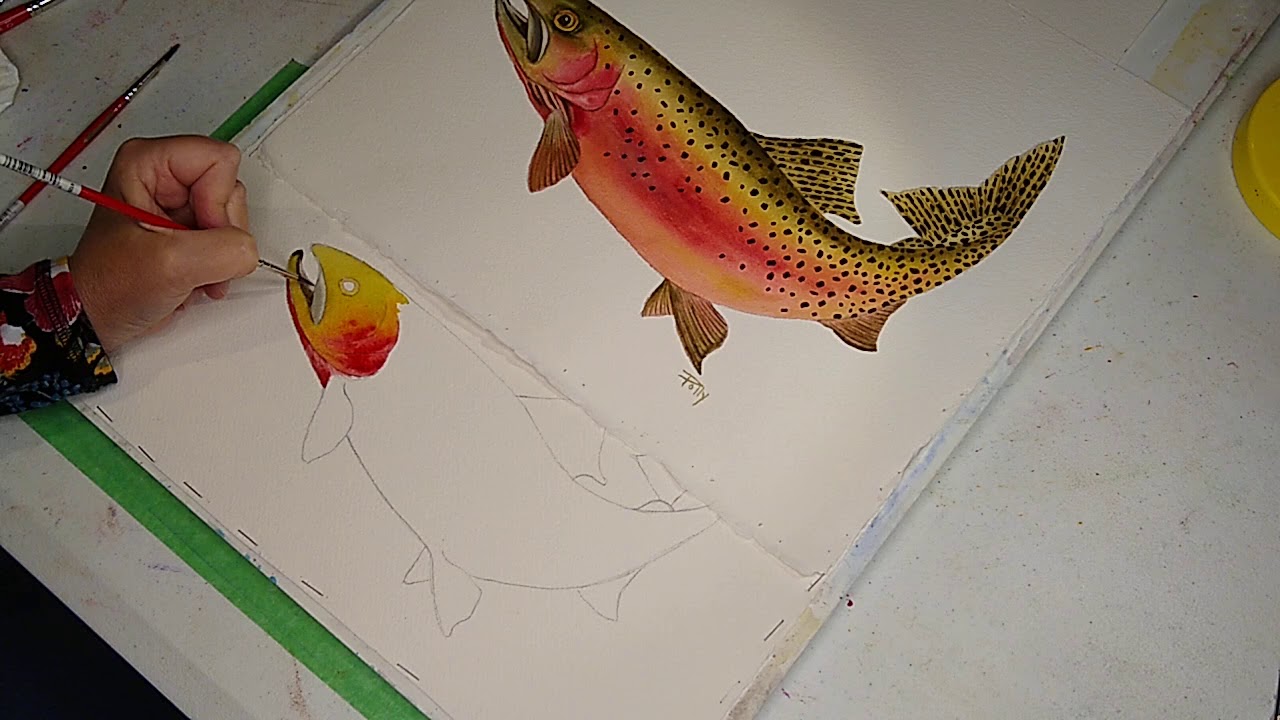 Watercolor Cutthroat Trout - Lesson 2 - Painting The Head