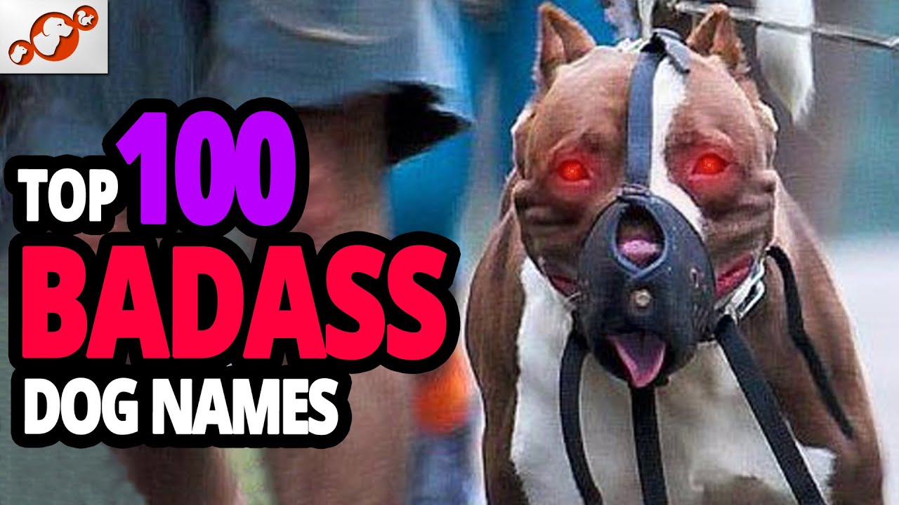 🐕 TOP 100 Badass Dog Names For Male!