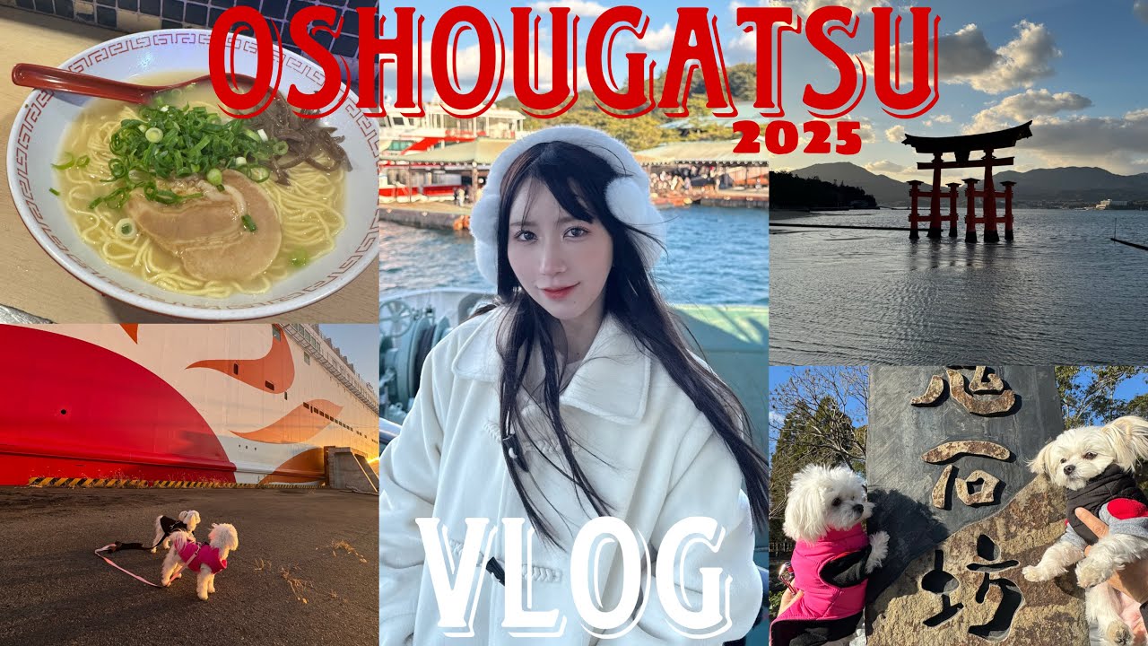 【VLOG】杉山家のお正月旅行の巻🎍🐶🐶