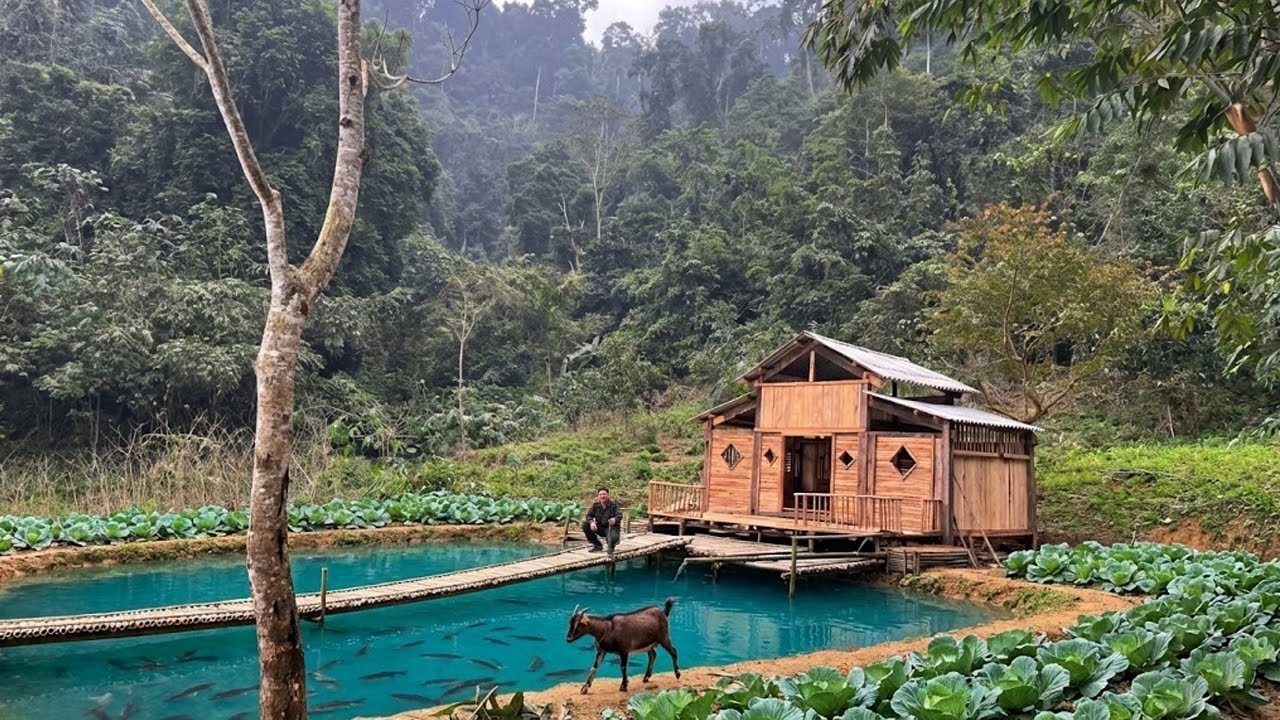 Building a bamboo bridge across a fish pond. 365 days of building a farm in the forest - P.11