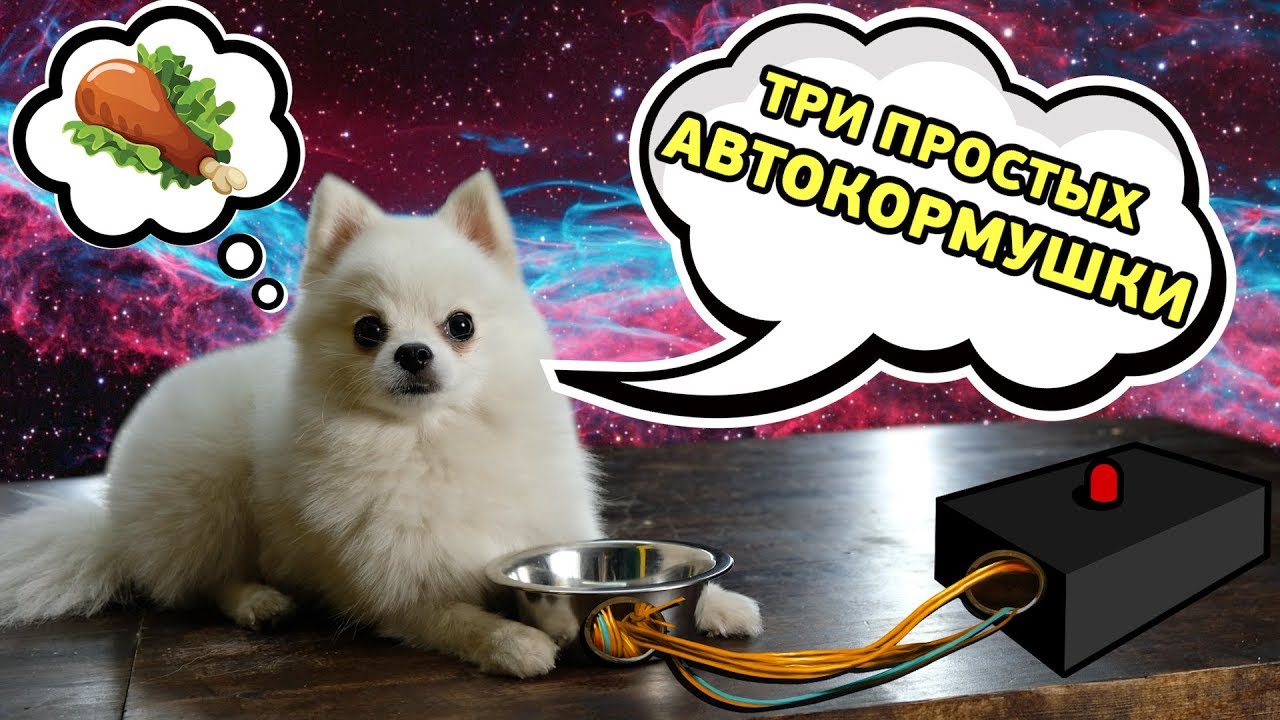 Собираю кормушки на Arduino: из мусора, картонных коробок и АБС-пластика. Проекты Амперки