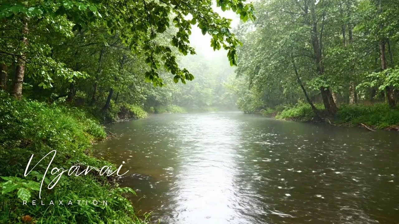 Sleepy river sounds in 10 minutes (study, work, sleep, relaxation, ASMR)