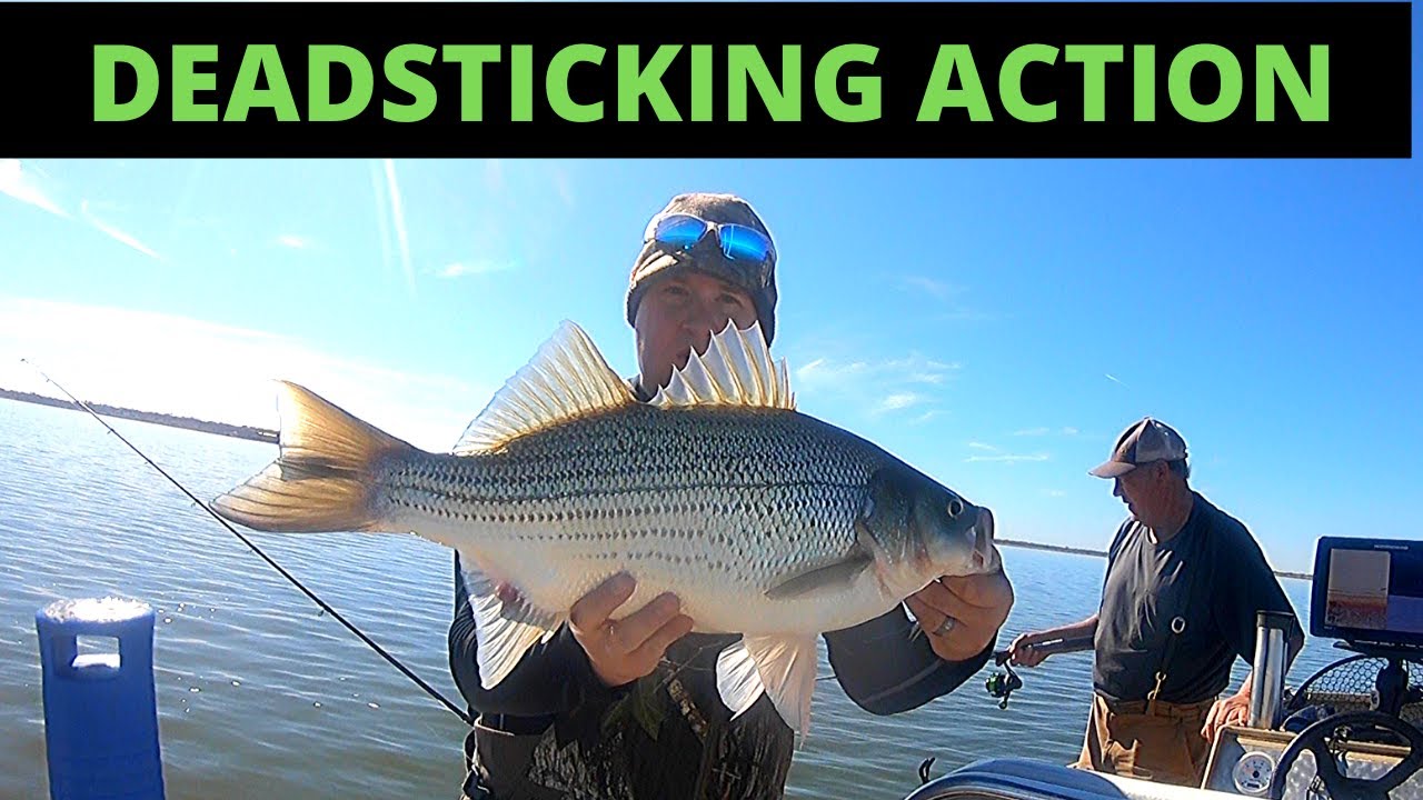Fort Phantom Fishing Guide: Deadsticking Time!
