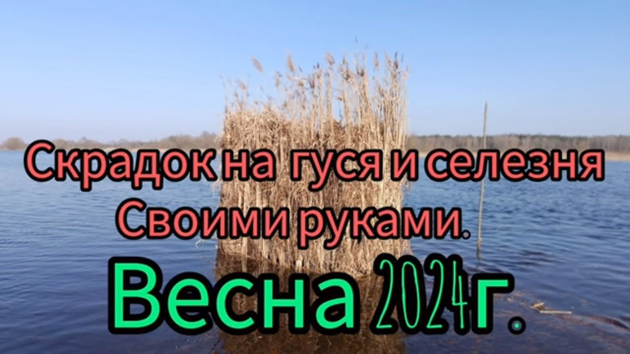 Подготовка к охоте на гуся и селезня 2024. Скрадок за 7 часов.  #скрадокнаселезня#скрадокнагуся