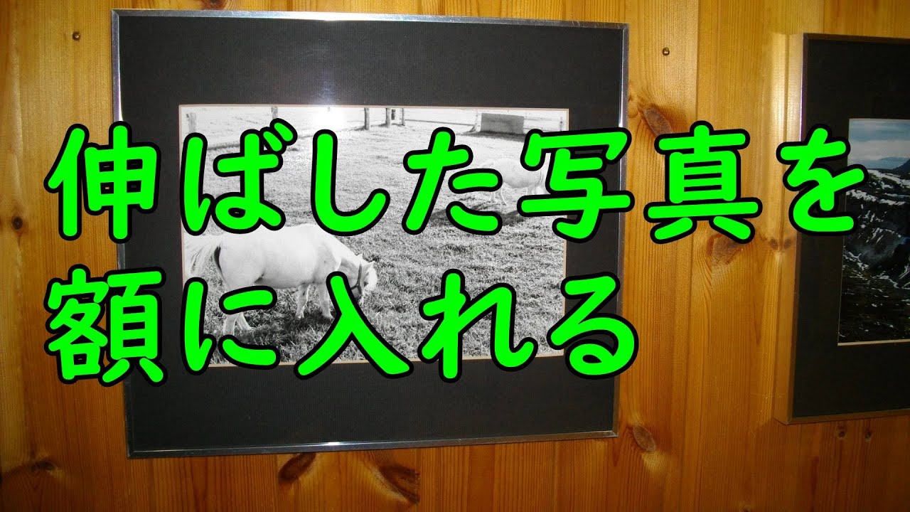 【自家現像】写真を額に入れる ＃フィルムカメラ＃自家現像＃モノクロ写真
