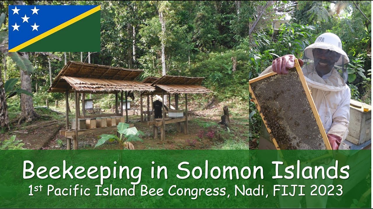 Beekeeping in the Solomon Islands - Country Profile