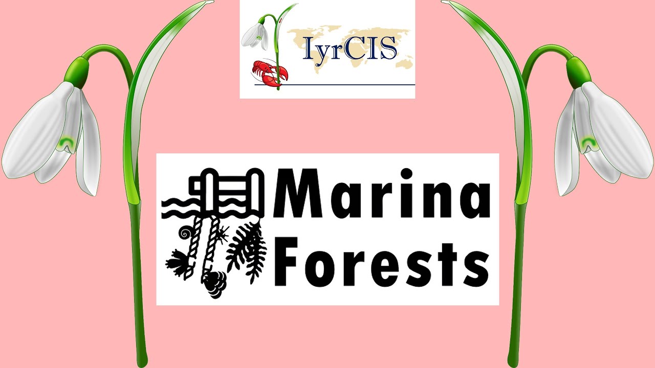 𝗡𝗼𝗻-𝗶𝗻𝗱𝗶𝗴𝗲𝗻𝗼𝘂𝘀 𝗳𝗼𝘂𝗹𝗶𝗻𝗴 𝘀𝗽𝗲𝗰𝗶𝗲𝘀 - Influence of salinity in marine and brackish marinas