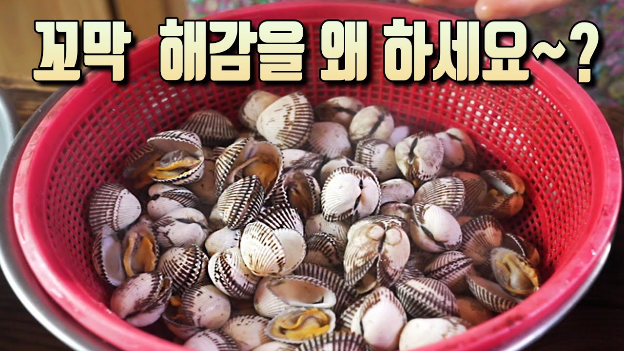 꼬막맛집 갈필요없어요~ 맛있는 반찬 2가지 뚝딱 만들어보세요~