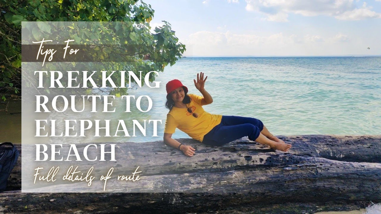 Trekking route to Elephant beach | Andaman | Full details of location, price, guide & route |