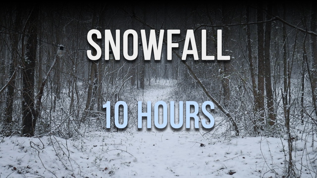 Snowfall in a Quiet Forest | Winter Ambience for Sleep | 10 Hours