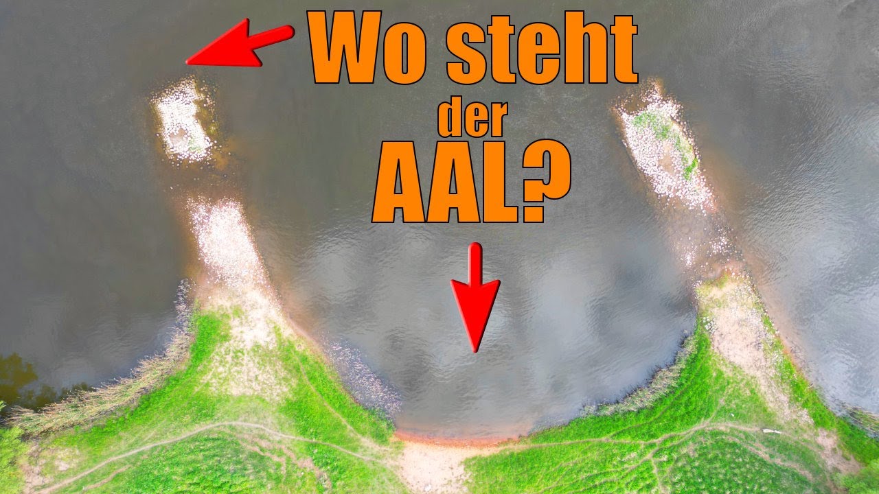 Strömung oder Kessel - Wo beißen die Aale?