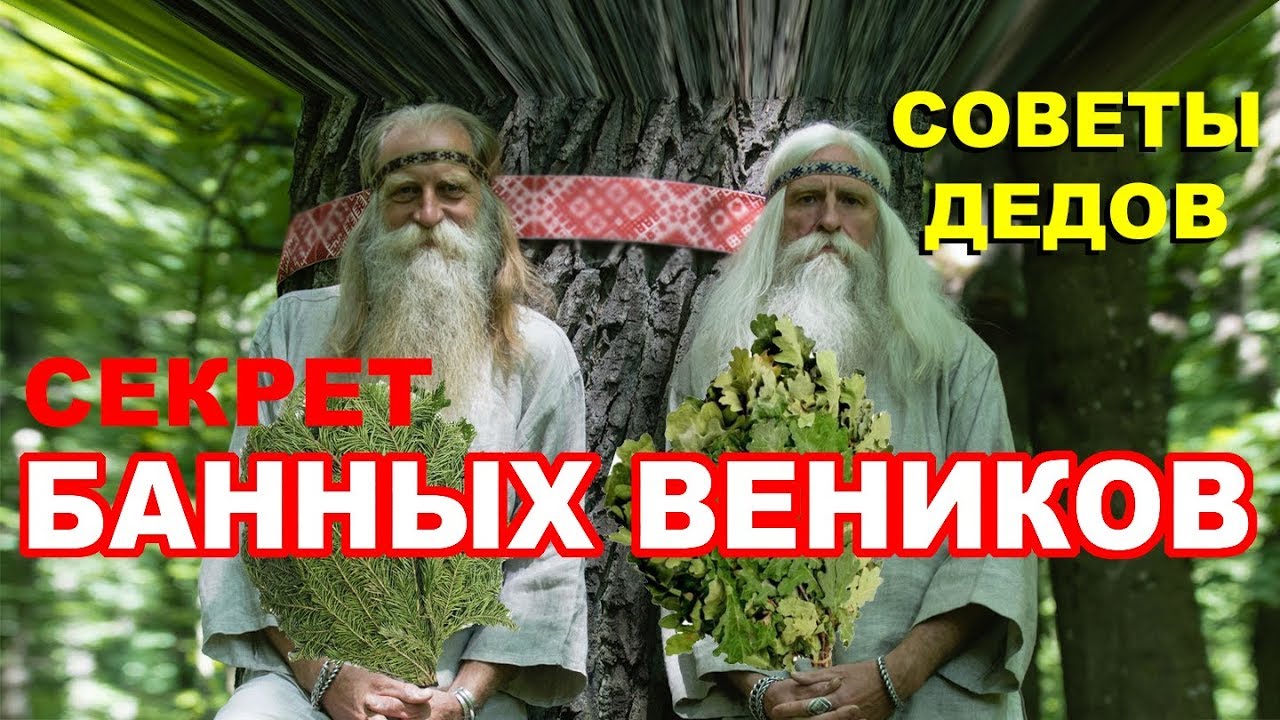 СЕКРЕТЫ банных ВЕНИКОВ | Советы старого банщика | Как связать и как запарить банный веник