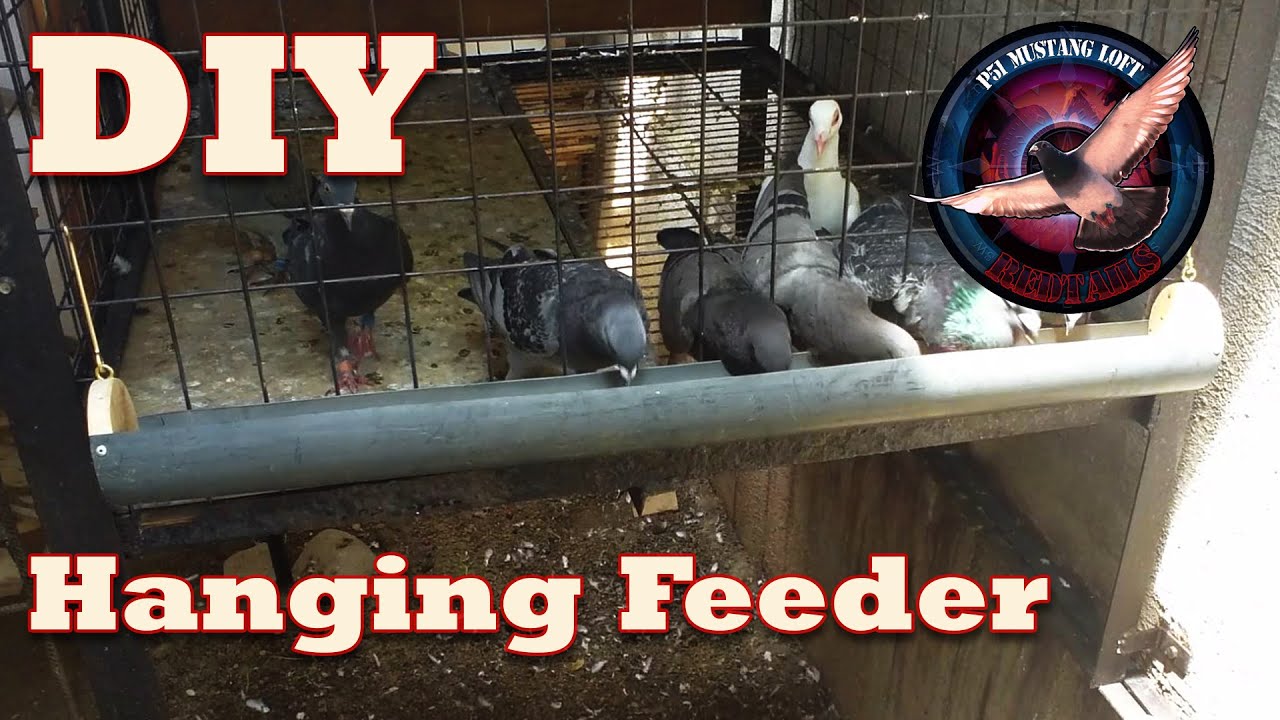 DIY Hanging Feeder