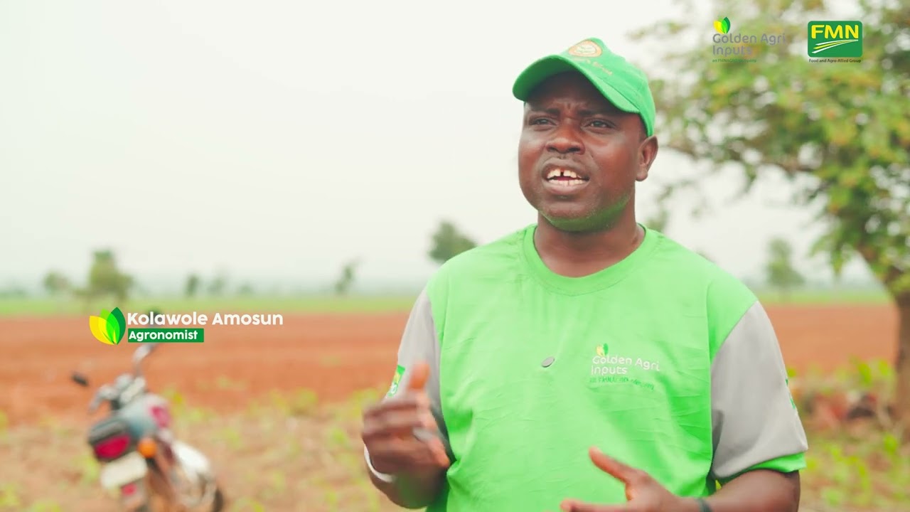 FMN - Feeding and Enriching Lives, Every Day