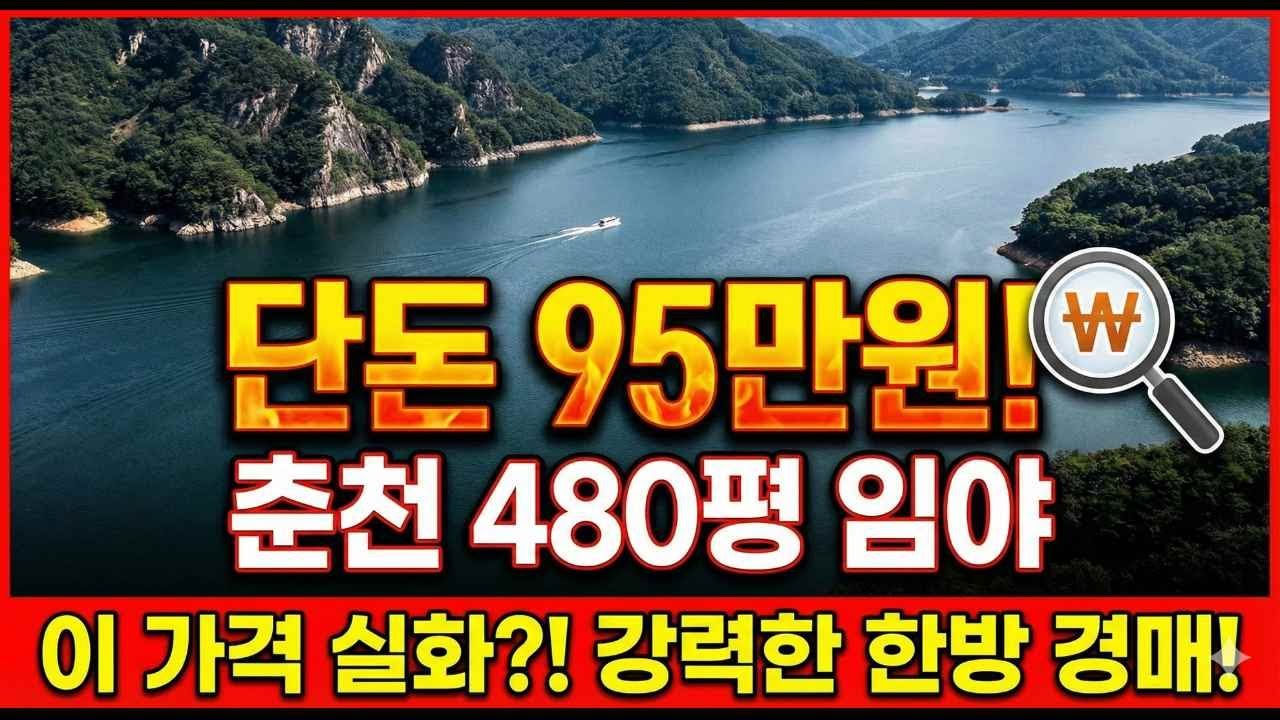 배 타고 들어가는 내 땅? 90만 원대 춘천 소양호 오지 임야, 환상인가 함정인가?