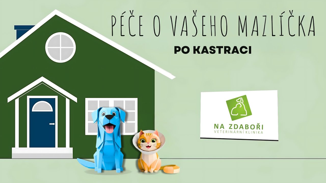 Péče o vašeho mazlíčka po kastraci