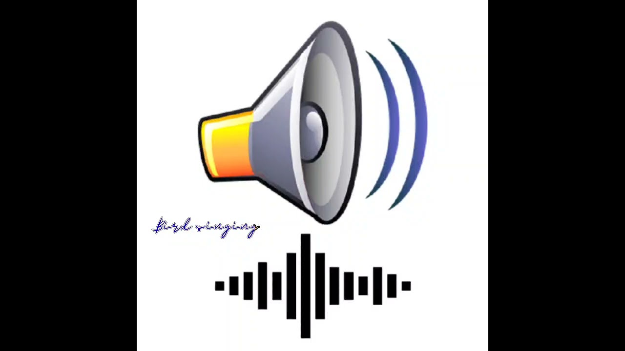 #Bird singing sound effects / #birds #music #soundeffect