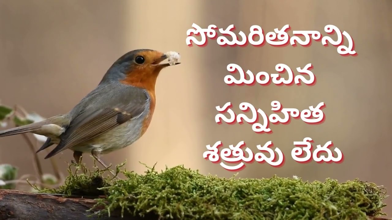 Motivational Quotes Telugu | Motivational Quotes About Life | Telugu Motivation | BMP Quotes