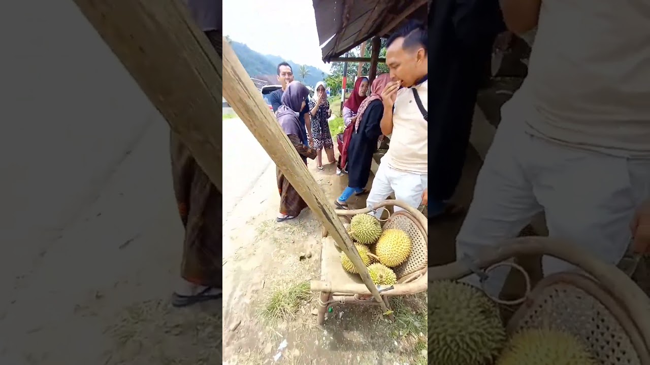 DURIAN PALEMBANG #durian #sumselterkini #viral