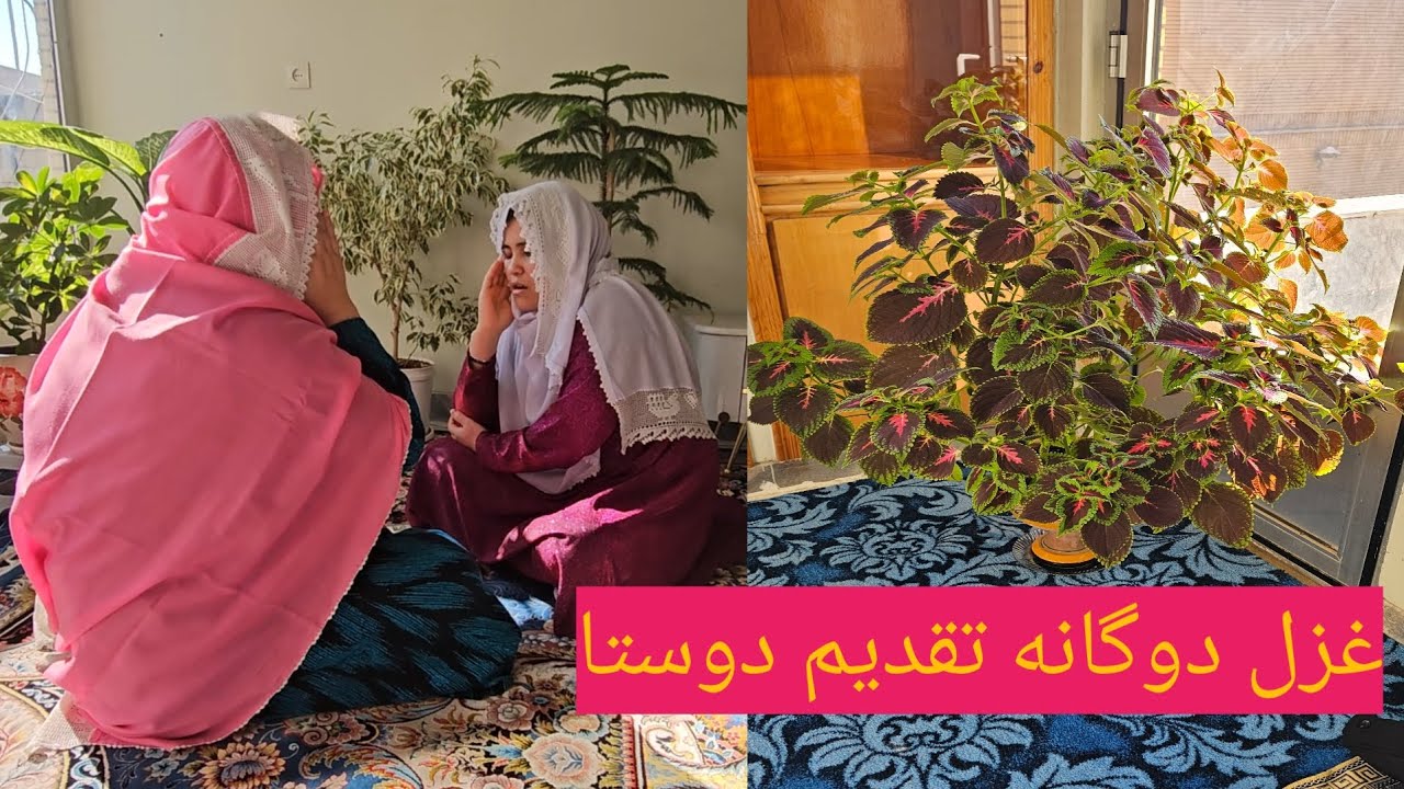 غزل ناب هزارگی گوش کنید لذت ببرید لایک سبسگرایب یادی تان نروه دوستا