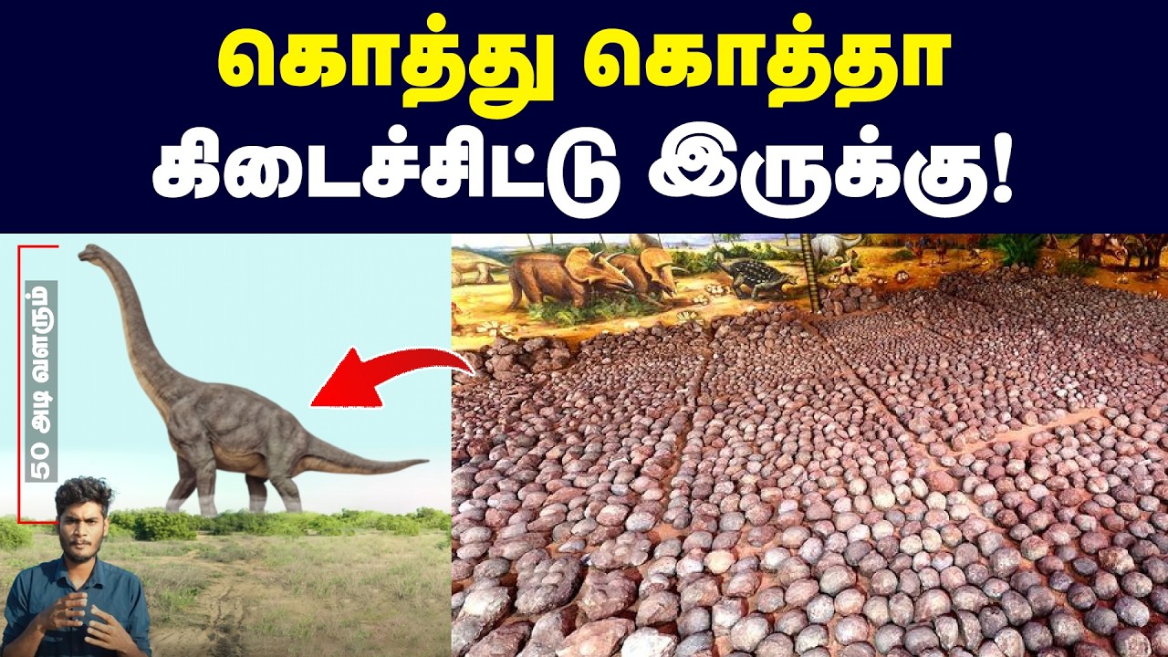 🦖🦕 Argentinosaurus: அவ்ளோ நீள கழுத்த வச்சு எப்படி மூச்சு விட்டுருக்கும்?! | Sauropods