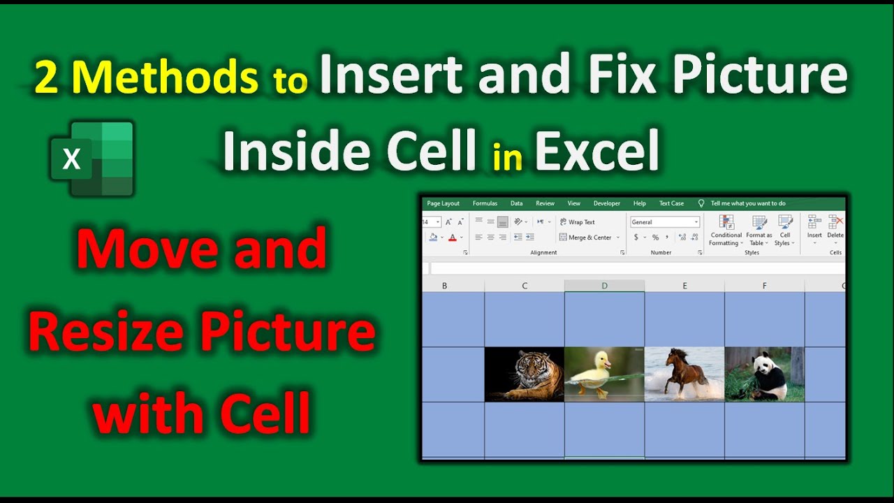 Как вставить картинку в ячейку Excel. 2 способа вставки и исправления фотографии в ячейке Excel.