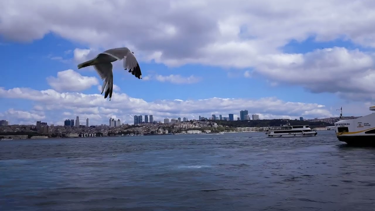 Bosphorus Cruise 2022 Fast Version  - Heading North