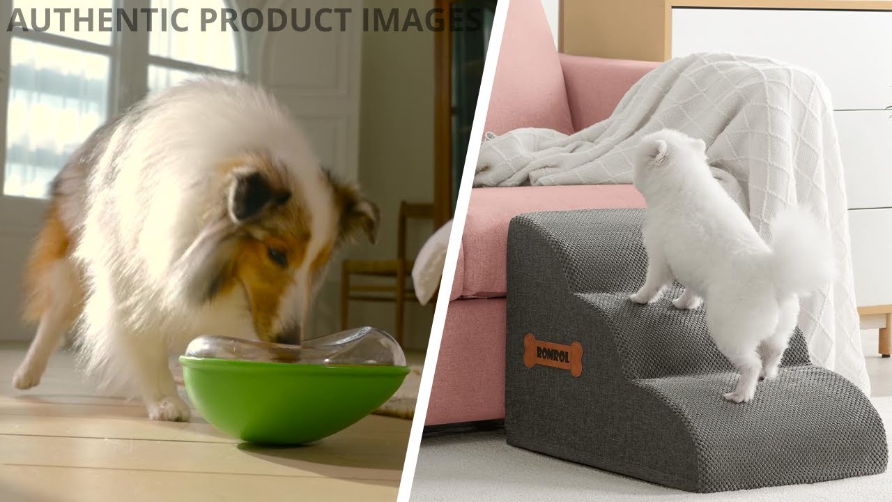 Best Dog Gadgets to Make Life Easier!