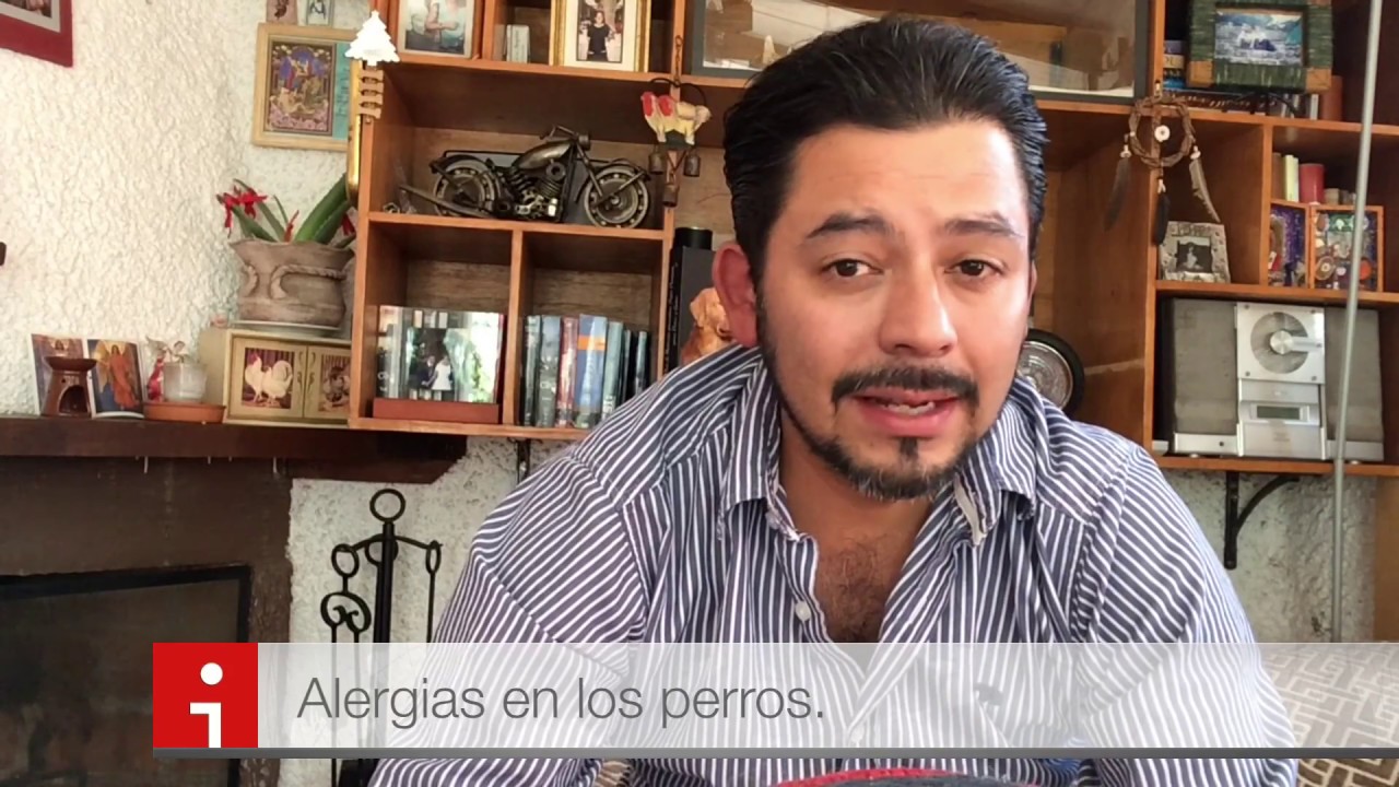 Royal Canin Hipoalergenico especial para perros con alergias e intolerancias alimenticias