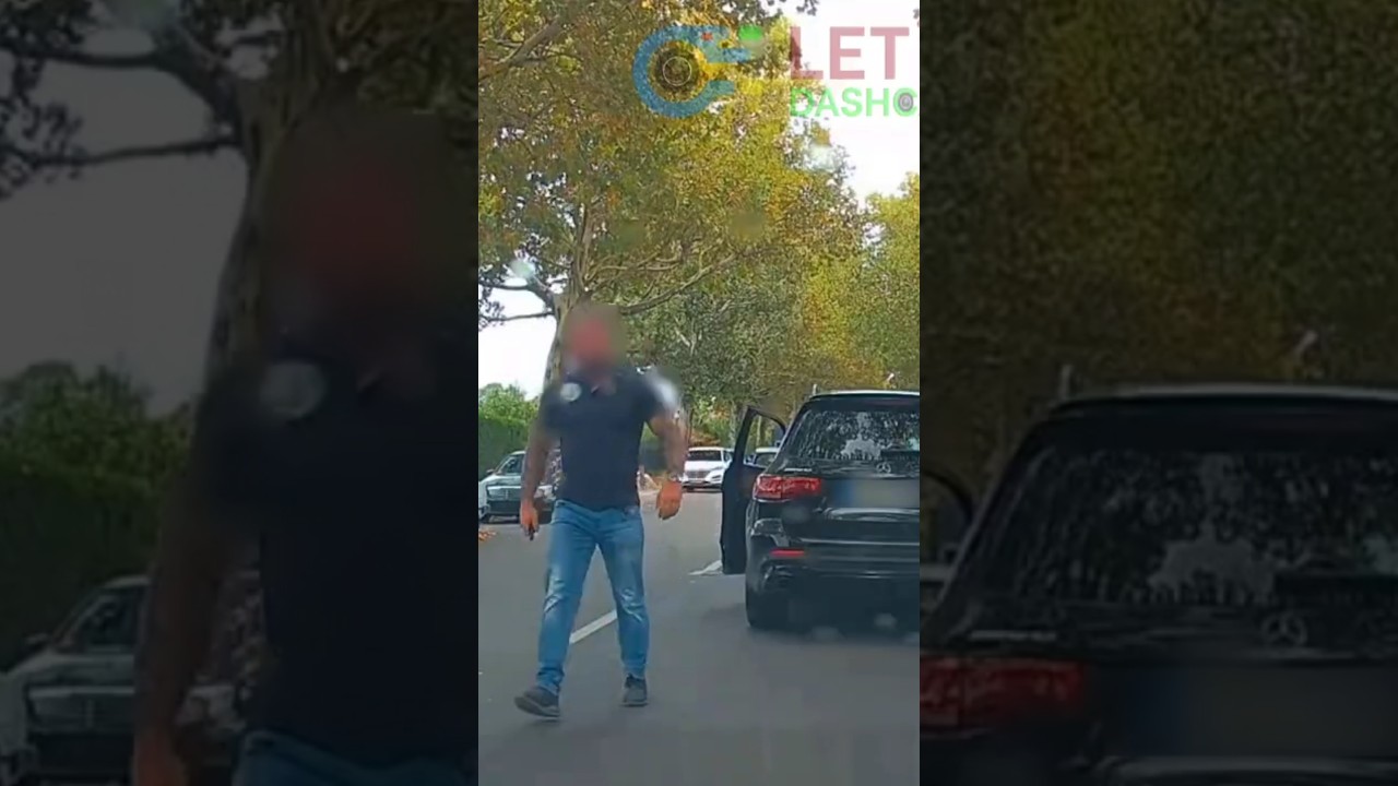 German Road Rage 💀 #dashcam #roadrage #fail #car