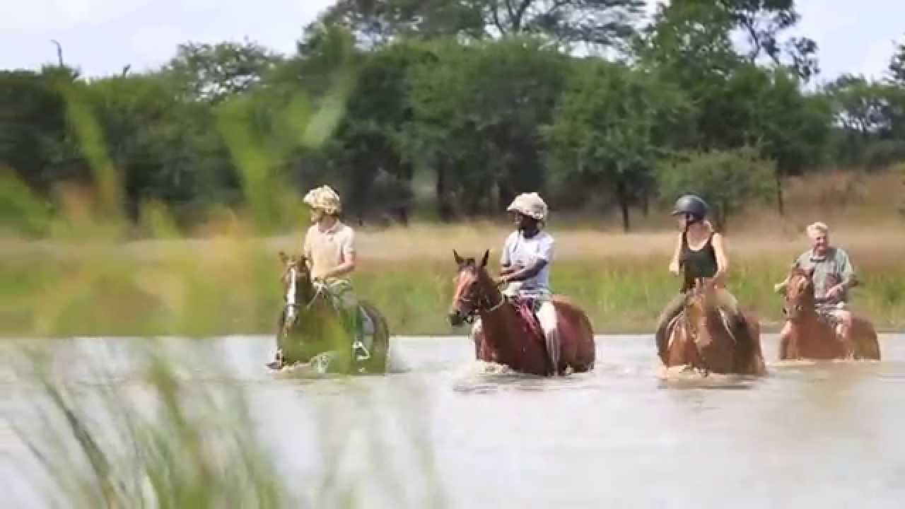 Antelope Park Stables