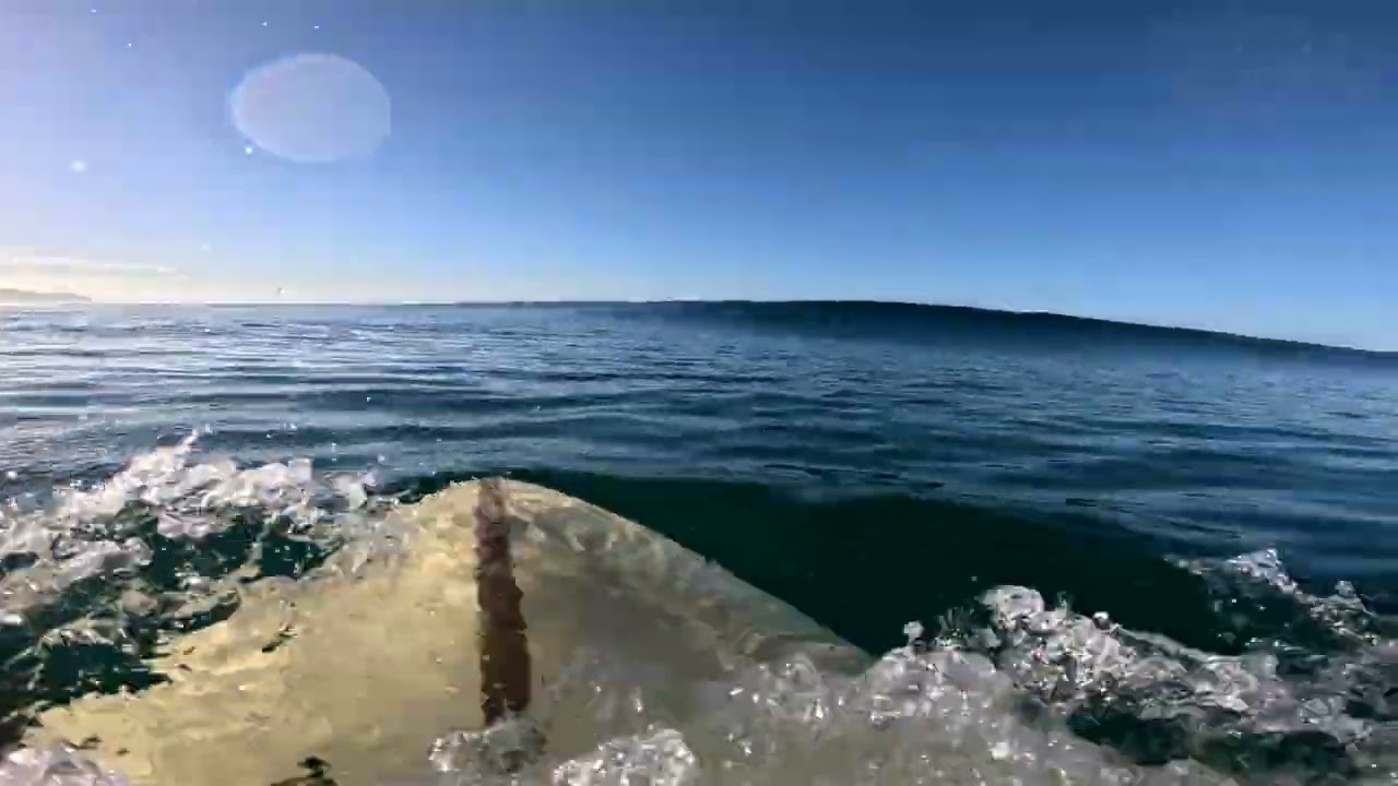 I Always Comeback To Surfing