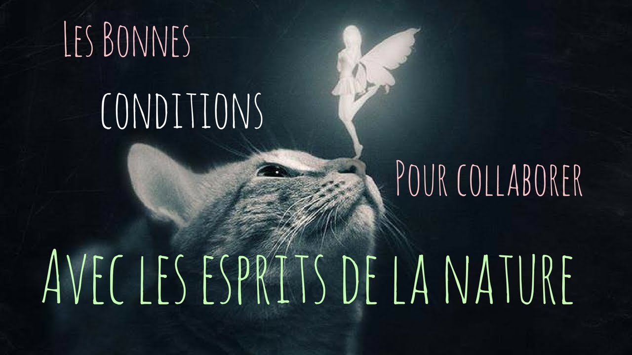LES BONNES CONDITIONS pour collaborer avec les esprits de la nature !