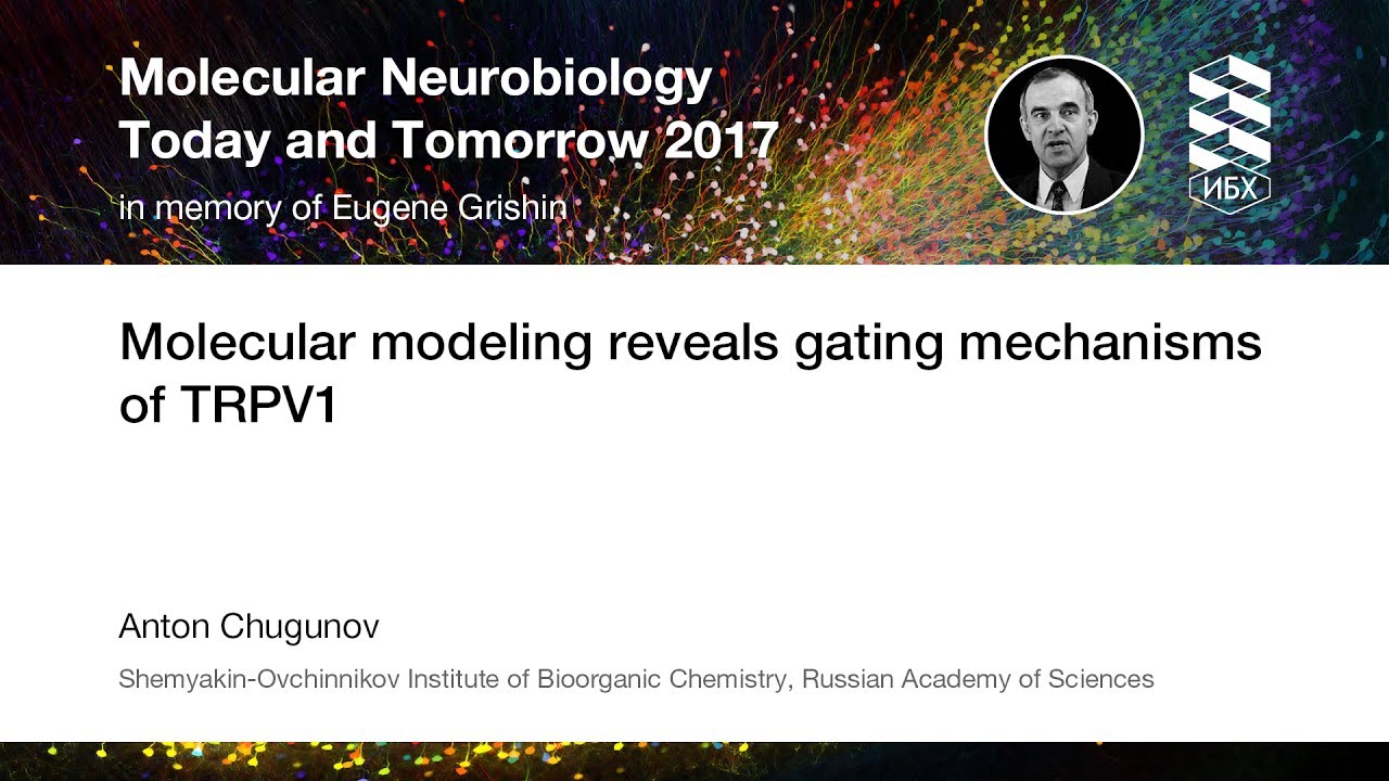 Molecular modeling reveals gating mechanisms of TRPV1