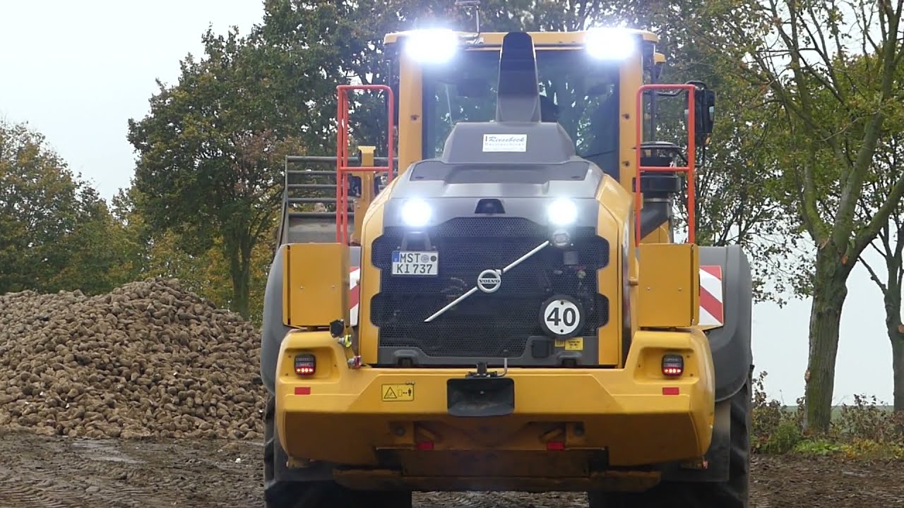 Holmer - Volvo - Radlader - LKW / Zuckerrüben verladen / load Sugar beet