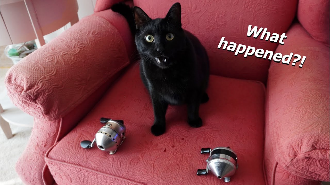 Zebco 33 — старые, новые и...сломанные?