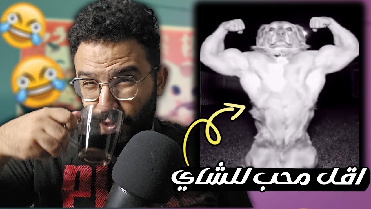 ميمز مضحكة و رايقة لمحبين الصيف و الشاي 🔥