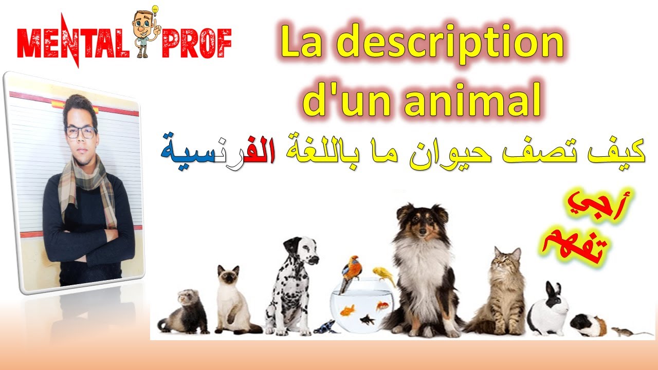 تعلم كيف تصف حيوان ما باللغة الفرنسية Décrire un animal en français
