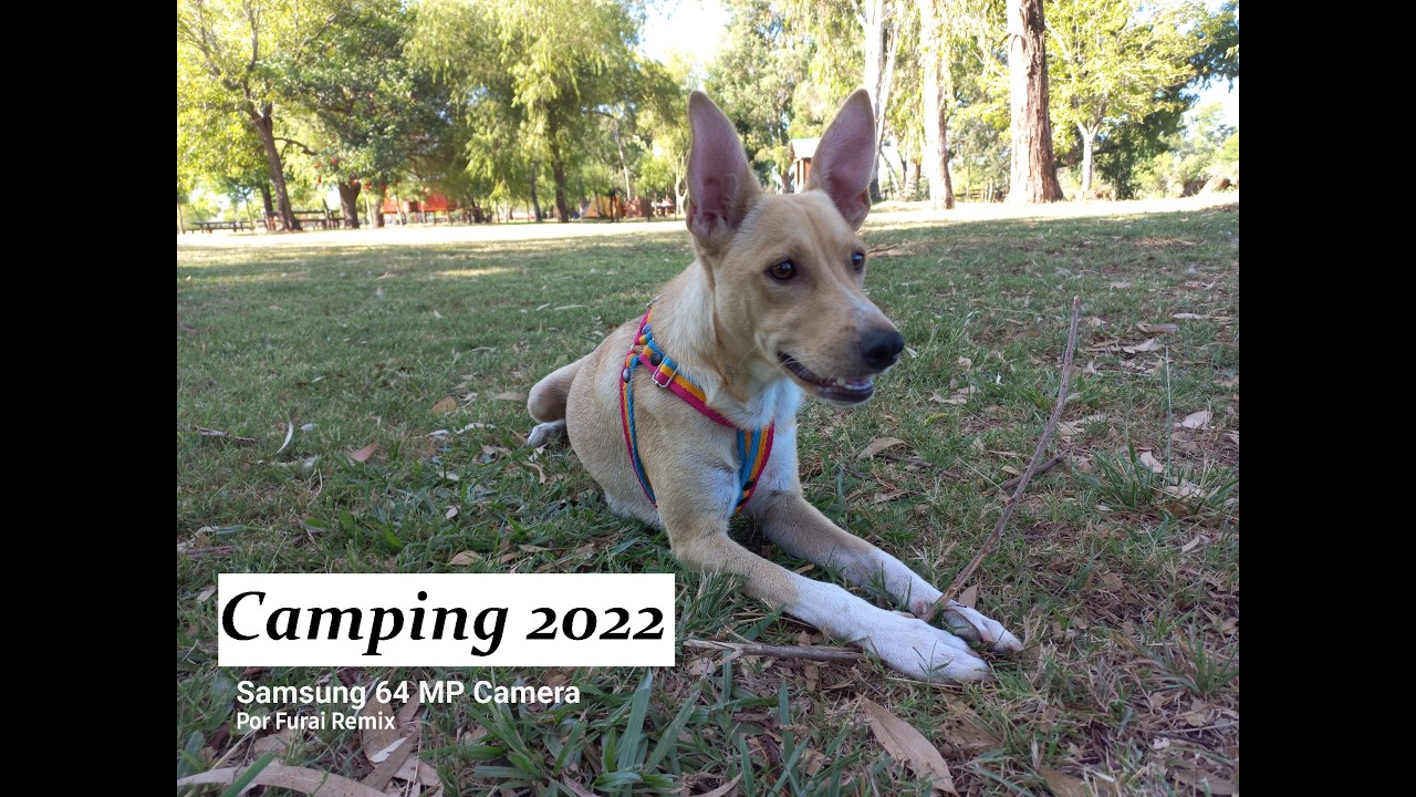 Camping 2022