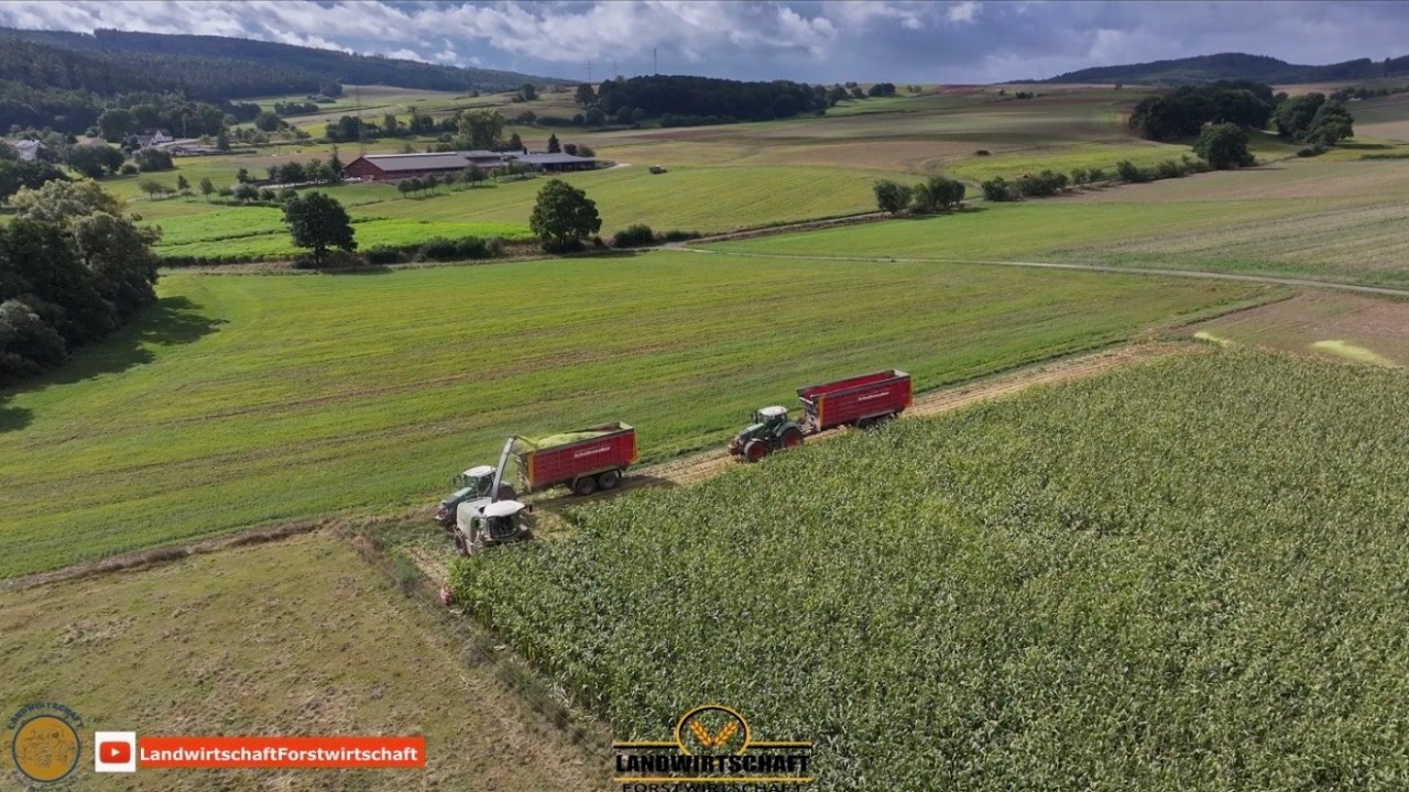 Man fährt gegen eine 2,50m hohe Wand aus Mais! Maishäckseln Fendt Katana 85 Maisernte Fendt Technik
