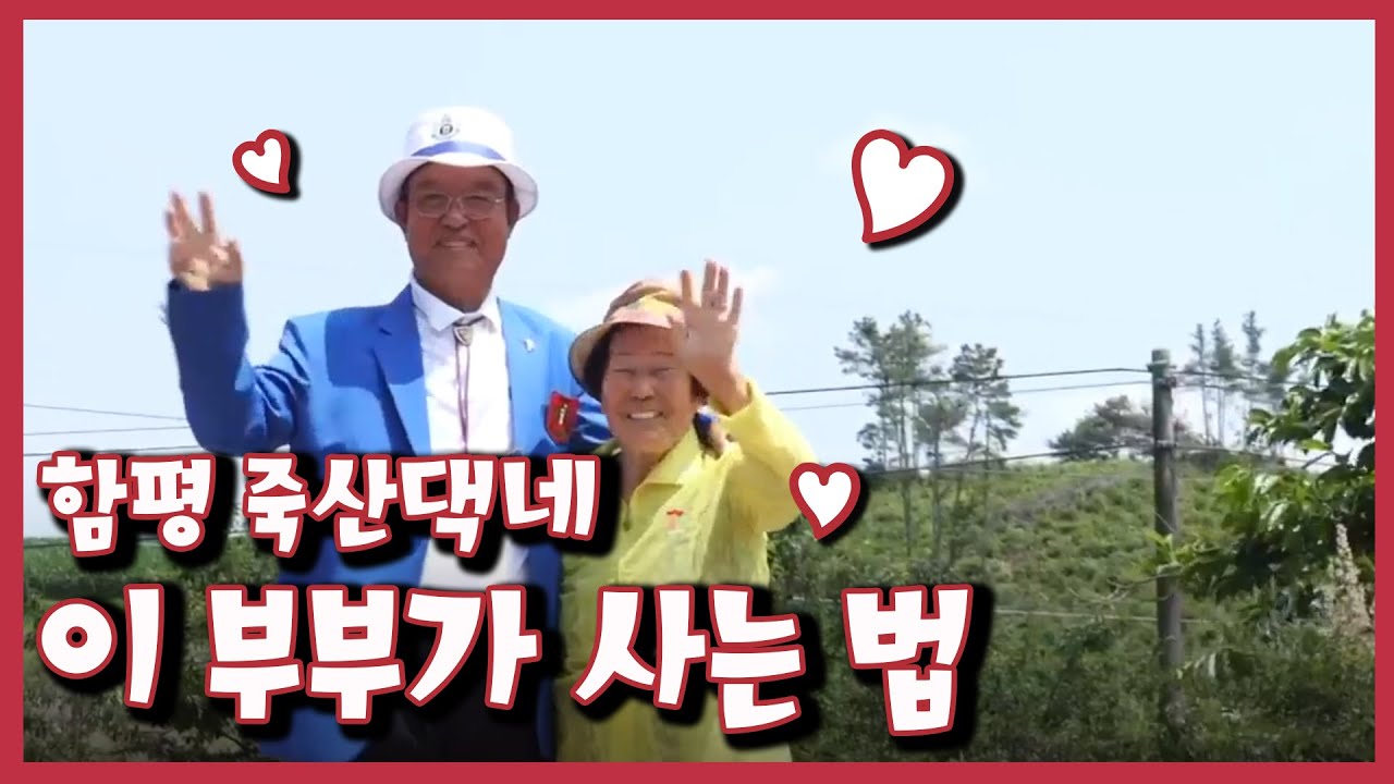 [남도지오그래피] 이 부부가 사는 법, 함평 죽산댁네｜KBS 210629 방송