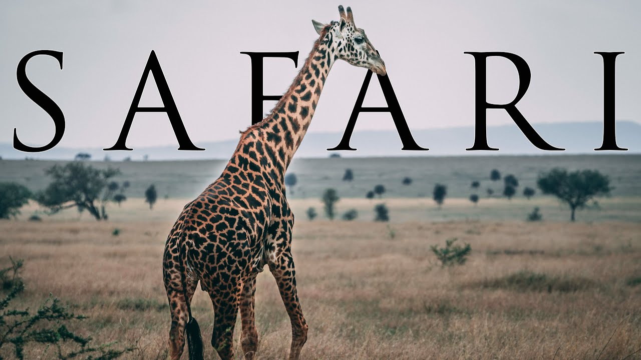 SAFARI TANZANIE - Serengeti, Ngorongoro,Tarangire