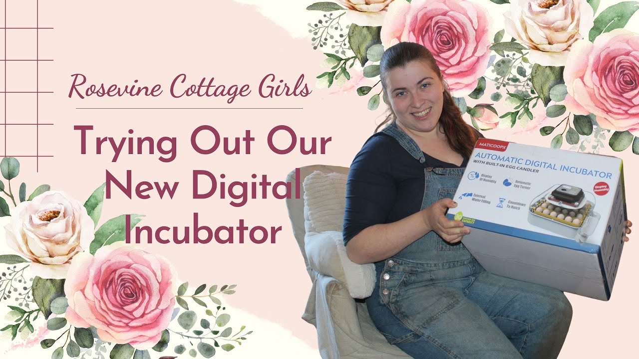 Unboxing The Maticoopx Automatic Incubator For Chicks